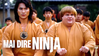 Mai dire ninja (1997)